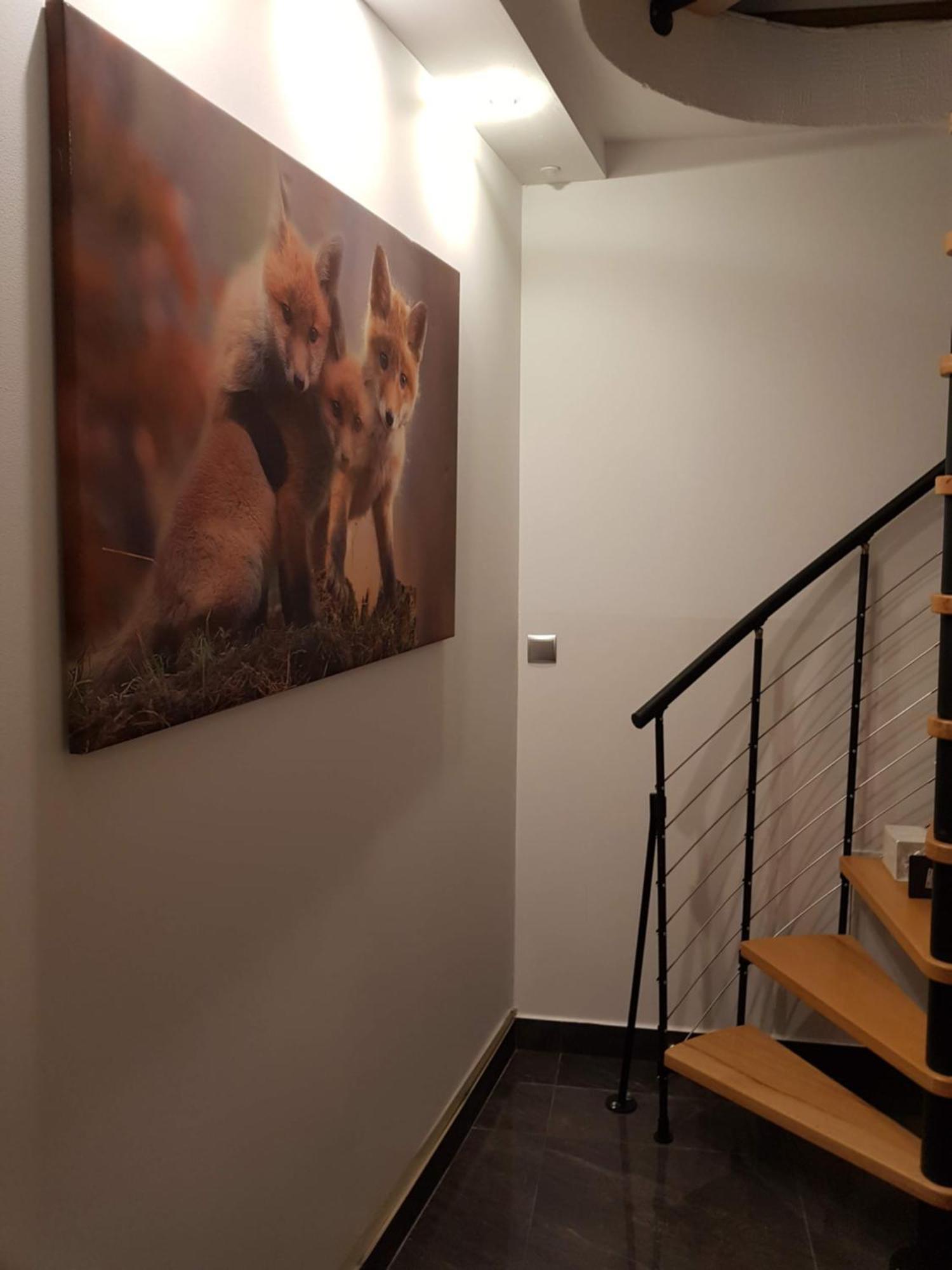 Apartamenty Magiczny Kacik Poronin Exterior photo